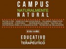 CAMPUS VERANO 2018