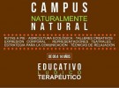 CAMPUS VERANO 2018